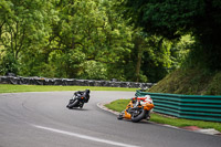 cadwell-no-limits-trackday;cadwell-park;cadwell-park-photographs;cadwell-trackday-photographs;enduro-digital-images;event-digital-images;eventdigitalimages;no-limits-trackdays;peter-wileman-photography;racing-digital-images;trackday-digital-images;trackday-photos